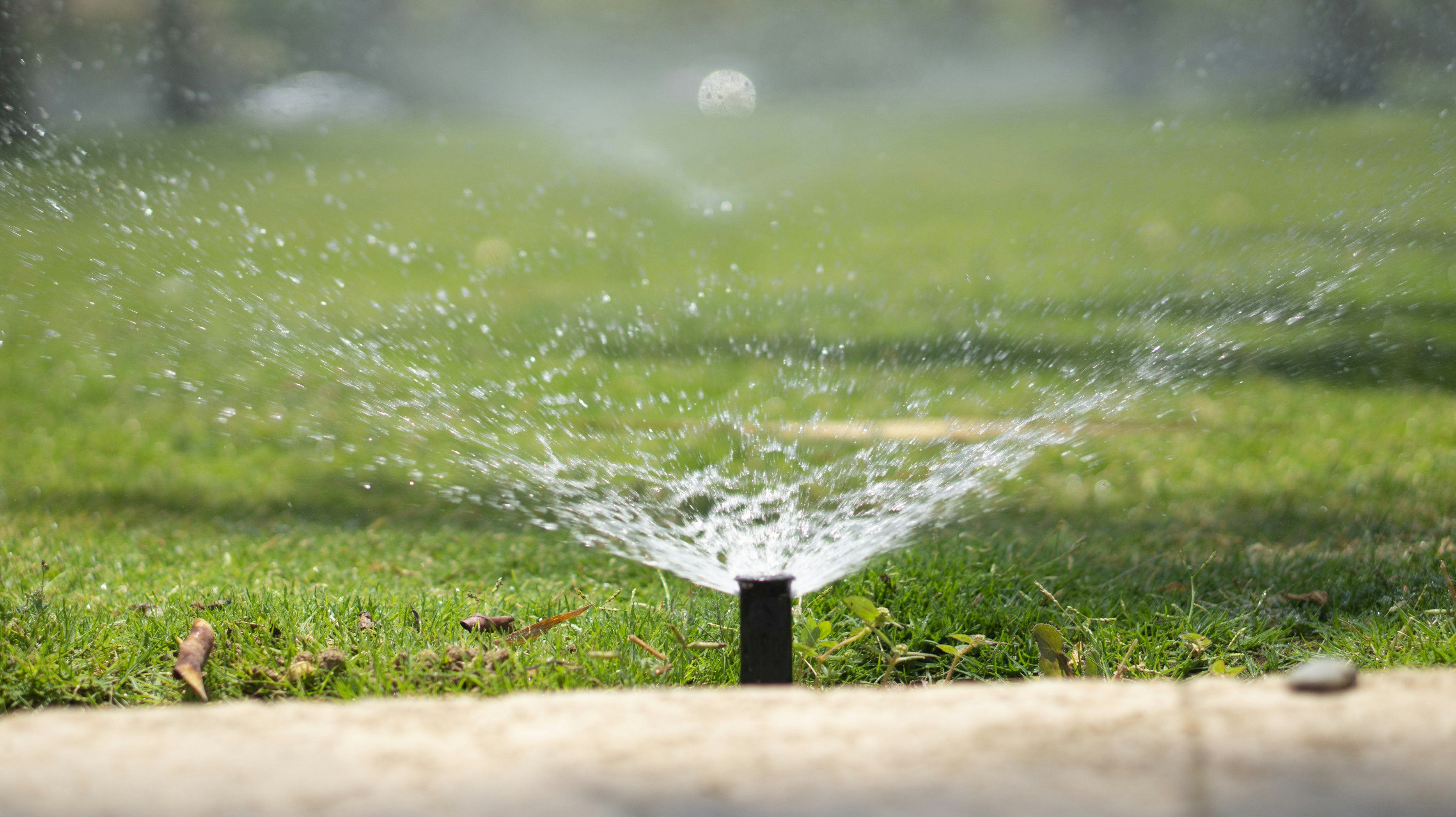 a sprinkler spraying a lush green lawn.